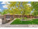 Charming brick home with mature tree, green lawn, and inviting curb appeal at 12256 W 34Th Pl, Wheat Ridge, CO 80033