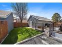 Backyard with manicured grass and a gray storage shed. A wooden fence surrounds the property at 8699 Garrison Ct, Arvada, CO 80005