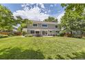 Expansive backyard with a patio, dining area and mature trees at 4498 Buena Vista Ct, Castle Rock, CO 80109