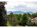 Scenic mountain views framed by mature trees, showcasing a beautiful outdoor vista at 11149 Seton Pl, Westminster, CO 80031