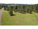 Expansive green lawn surrounding a secluded home nestled among mature trees in a picturesque landscape at 29663 Paint Brush Dr, Evergreen, CO 80439