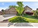 Charming front yard featuring lush green grass and a well-manicured landscape at 3380 Quail Ct, Wheat Ridge, CO 80033