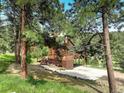 Charming mountain home has a wrap-around deck and drive-under garage, nestled among the trees at 13190 Coyote Song Trl, Conifer, CO 80433
