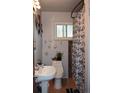 Compact bathroom featuring a sink, toilet, shower with decorative floral curtain, and artistic wall decor at 2885 Quay St, Wheat Ridge, CO 80033