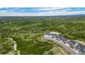 Expansive aerial view of luxury homes in a green community with scenic views at 3459 Hotpepper Way, Castle Rock, CO 80108