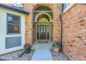 Close up of the front door to a home with brick archway, black door with glass panes, and potted plants on the porch at 10822 Eagle Crest Ct, Parker, CO 80138