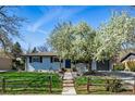 Welcoming exterior with beautiful tree, blue door, neat landscaping, and a driveway leading to the garage at 2435 Creighton Dr, Golden, CO 80401