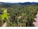 Aerial view shows a home nestled within a dense forest and rolling hills at 8422 S Ault Ln, Morrison, CO 80465