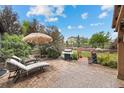 Inviting backyard featuring a stone patio, chaise lounges, a grill, and lovely landscaping at 11961 S Saunter Ln, Parker, CO 80138
