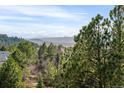 Scenic view of the mountains through the trees, showcasing the natural beauty surrounding the property at 7332 Woodglen Pl, Castle Pines, CO 80108