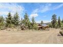 Rustic property entrance showcasing a dirt driveway and wooden fencing, surrounded by lush green trees at 33121 Lynx Ln, Evergreen, CO 80439