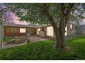 Backyard featuring a stone fire pit, built-in grill, and large tree providing shade at 6895 E 74Th Ave, Commerce City, CO 80022