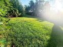 Lush green backyard with mature trees, perfect for outdoor activities at 451 Lansing St, Aurora, CO 80010