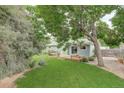 Backyard features a wooden deck, bench seating, mature trees and a green lawn at 10883 Otis Cir, Westminster, CO 80020