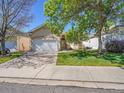 Charming single-story home with a well-manicured lawn and an attached two-car garage at 946 Champion Cir, Longmont, CO 80503