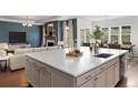 Spacious kitchen island features a stainless steel sink and modern hardware, opening to the adjacent living room at 5693 Missoula Trl, Castle Rock, CO 80108