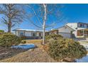Charming ranch home with mature trees and a partially snow-covered yard at 8839 Winona Ct, Westminster, CO 80031