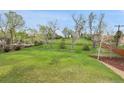 Large, grassy backyard with mature trees at 3970 Pierson St, Wheat Ridge, CO 80033