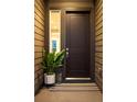 Dark brown front door with a striped welcome mat and a potted plant at 6530 Barnstead Dr, Castle Pines, CO 80108