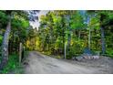 Private driveway leading to a secluded property amidst lush greenery, ensures privacy and natural beauty at 13416 Kuehster Rd, Littleton, CO 80127