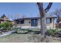 Charming single story home with a brick facade, mature shade tree, and a well-manicured lawn at 1641 Orchard Dr, Denver, CO 80221
