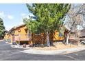 Exterior view of house with brown siding, deck, driveway and large evergreen tree in yard at 11945 W 66Th Pl # A, Arvada, CO 80004