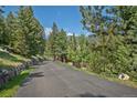 Long private driveway leading to a secluded mountain home surrounded by mature trees at 3064 Elk View Dr, Evergreen, CO 80439