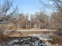 View of backyard with trees and snow on the ground at 6000 W Floyd Ave # 105, Denver, CO 80227