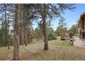 Serene backyard featuring a hammock strung between trees, a deck, and lush greenery at 4992 White House Trl, Evergreen, CO 80439