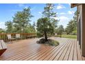 Large wooden deck with scenic views, chairs, and a unique tree growing through its center at 4992 White House Trl, Evergreen, CO 80439