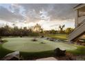 Private putting green with natural border in backyard at 4935 E Preserve Ln, Greenwood Village, CO 80121