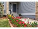 Inviting front porch with colorful tulip garden, stone-lined walkway, and stylish front door at 12742 Vrain St, Broomfield, CO 80020