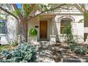 Close-up of a front exterior showcasing a well-kept yard and inviting entrance at 1529 E 22Nd Ave, Denver, CO 80205