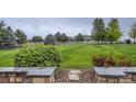 Spacious backyard with lush green grass, mature trees, and white fence in the background at 15102 Prairie Pl, Broomfield, CO 80023