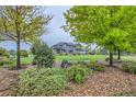 Exterior home view framed by mature trees and lush landscaping, enhancing its curb appeal at 15102 Prairie Pl, Broomfield, CO 80023
