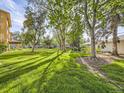 Scenic view of community green space with mature trees and lush lawn at 750 S Clinton St # 2C, Denver, CO 80247