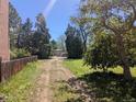 A long driveway leading to a home, surrounded by mature trees and greenery at 1251 Lee St, Lakewood, CO 80215