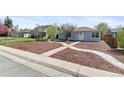 Quaint single-Gathering home with well-kept lawn, inviting walkway, and tasteful landscaping at 1740 Trenton St, Denver, CO 80220