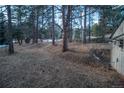 View of the backyard showing a clearing in the woods at 5925 Herzman Dr, Evergreen, CO 80439