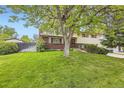 Landscaped front yard of a two-story home with mature tree and well-maintained lawn at 1462 S Dudley St, Lakewood, CO 80232