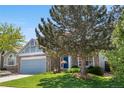 View of home's exterior featuring a lush, green front yard and a mature tree shading the blue front door at 3102 White Oak Trl, Highlands Ranch, CO 80129