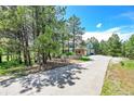Long driveway leads to a home surrounded by mature trees, ensuring ultimate privacy at 6681 Flintwood Rd, Parker, CO 80138
