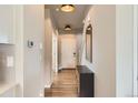 Bright hallway featuring wood-like flooring, modern light fixtures, and access to multiple rooms at 12815 Randles Ave, Parker, CO 80134
