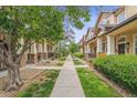 Charming street view of well-maintained homes with tree-lined sidewalks and inviting front porches at 1466 Turnberry Dr, Castle Rock, CO 80104
