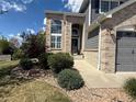 Charming entryway showcasing an arched doorway, decorative stone accents, and manicured landscaping at 15915 E Summit Fox Ave, Parker, CO 80134