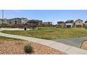 Beautiful neighborhood park featuring lush green spaces, picnic tables, and playground, great for recreation at 10534 Oncilla Ln, Lone Tree, CO 80124