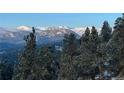 Scenic mountain view with snow-capped peaks visible through lush green pine trees at 3961 Mossy Rock Ln, Evergreen, CO 80439