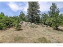 Picturesque view of the natural landscape and vegetation surrounding the home creating a serene outdoor space at 107 Deer Trail Rd, Boulder, CO 80302