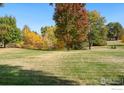 Expansive backyard with lush green grass and mature trees offering a serene and private outdoor space at 1226 Atwood St, Longmont, CO 80501