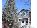 Gray townhome with blue spruce tree in front at 4110 Riley Dr, Longmont, CO 80503